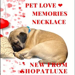 ❤️Pet Love Memories Necklace